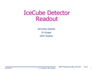 IceCube Detector Readout