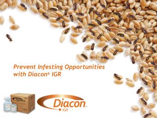Prevent Infesting Opportunities with Diacon ® IGR