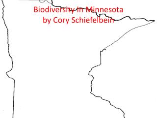 Biodiversity In Minnesota by Cory Schiefelbein