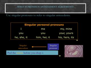What is pronoun-antecedent agreement? Number