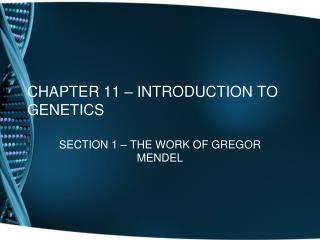CHAPTER 11 – INTRODUCTION TO GENETICS