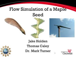 Flow Simulation of a Maple Seed