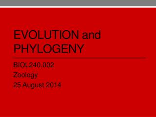 Evolution and Phylogeny