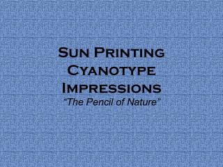 Sun Printing Cyanotype Impressions