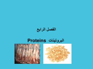 الفصل الرابع البروتينات Proteins