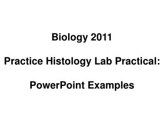 Biology 2011 Practice Histology Lab Practical: PowerPoint Examples