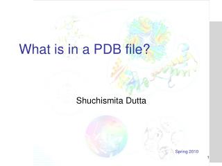 What is in a PDB file?