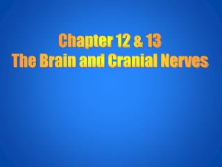 Chapter 12 &amp; 13 The Brain and Cranial Nerves