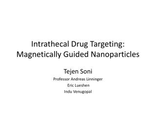 Intrathecal Drug Targeting: Magnetically Guided Nanoparticles