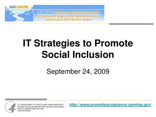 IT Strategies to Promote Social Inclusion