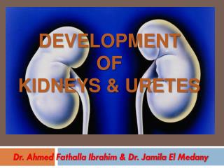 Dr. Ahmed Fathalla Ibrahim &amp; Dr. Jamila El Medany