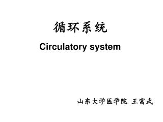 循环系统 Circulatory system