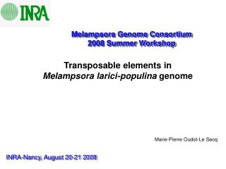Transposable elements in Melampsora larici-populina genome