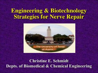 Engineering &amp; Biotechnology Strategies for Nerve Repair