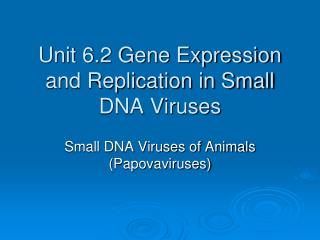 Unit 6.2 Gene Expression and Replication in Small DNA Viruses