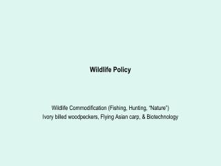 Wildlife Policy