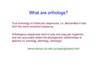 What are orthologs?
