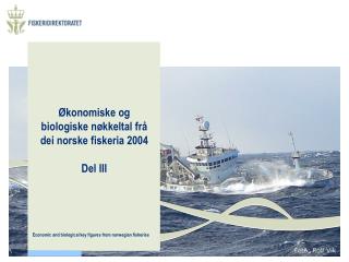 Økonomiske og biologiske nøkkeltal frå dei norske fiskeria 2004 Del III