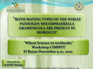 &quot; BOTH MATING TYPES OF THE WHEAT PATHOGEN MYCOSPHAERELLA GRAMINICOLA ARE PRESENT IN MOROCCO &quot;
