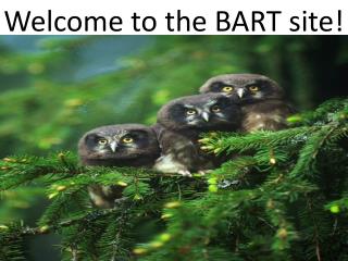 Welcome to the BART site!