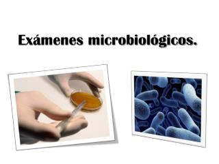 Exámenes microbiológicos.