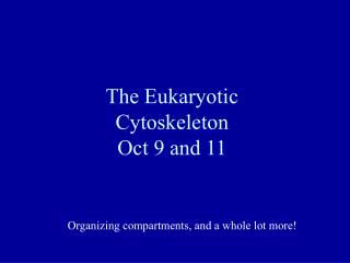 The Eukaryotic Cytoskeleton Oct 9 and 11