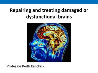 Repairing and treating damaged or dysfunctional brains