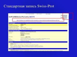 Стандартная запись Swiss-Prot