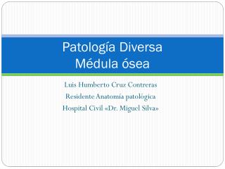 Patología Diversa Médula ósea