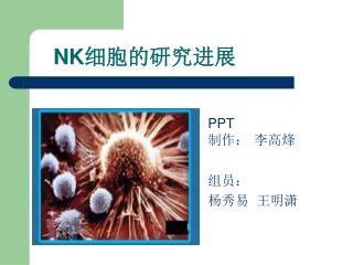 NK 细胞的研究进展