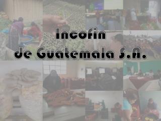 Incofin de Guatemala S.A .