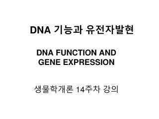 DNA 기능과 유전자발현