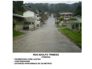 RUA ADOLFO TRIBESS (TRIBESS) - PAVIMENTADA COM LAJOTAS - COM DRENAGEM