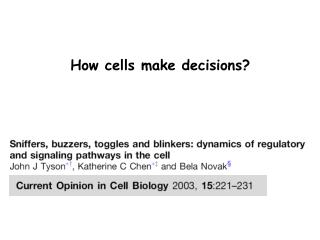 How cells make decisions?