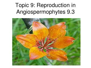 Topic 9: Reproduction in Angiospermophytes 9.3