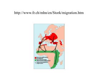 fr.ch/mhn/en/Stork/migration.htm