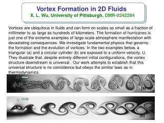 Vortex Formation in 2D Fluids X. L. Wu , University of Pittsburgh, DMR-0242284
