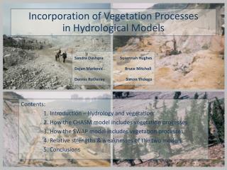 Incorporation of Vegetation Processes in Hydrological Models