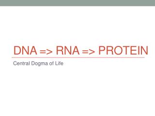 DNA =&gt; RNA =&gt; Protein