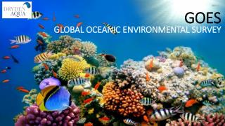 GOES GLOBAL OCEANIC ENVIRONMENTAL SURVEY