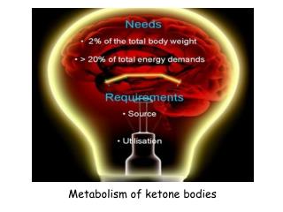 Metabolism of keton е bodies