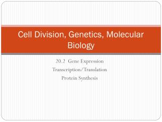 Cell Division, Genetics, Molecular Biology