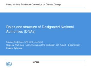 Roles and structure of Designated National Authorities (DNAs)