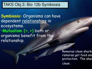Symbiosis: Organisms can have dependent relationships in ecosystems.