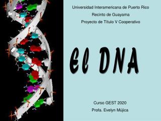 Universidad Interamericana de Puerto Rico Recinto de Guayama Proyecto de Título V Cooperativo
