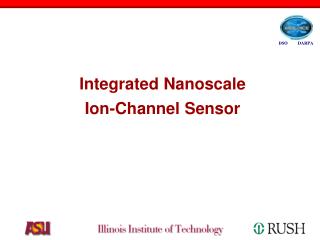 Integrated Nanoscale Ion-Channel Sensor