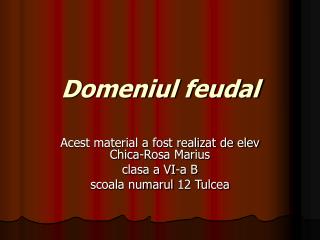 Domeniul feudal