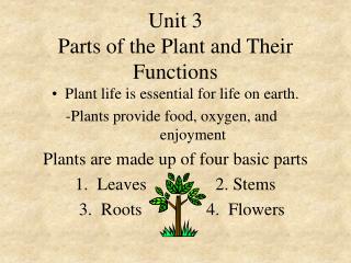 Unit 3 Parts of the Plant and Their Functions
