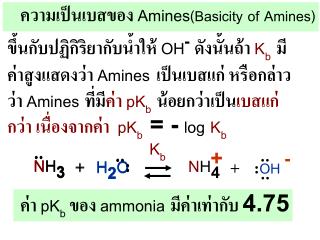ขึ้นกับปฏิกิริยากับน้ำให้ OH - ดังนั้นถ้า K b มี ค่า สูงแสดงว่า Amines เป็นเบสแก่ หรือกล่าว