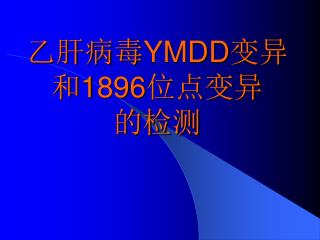 乙肝病毒 YMDD 变异和 1896 位点变异 的检测
